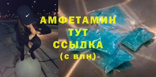 индика Кулебаки