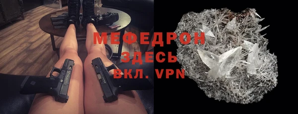 индика Кулебаки
