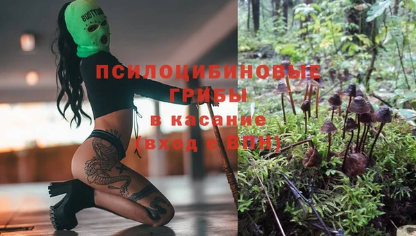 тгк Кукмор