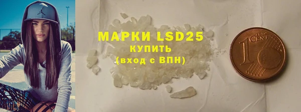 индика Кулебаки