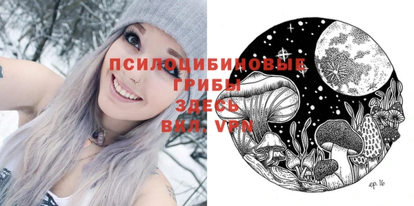тгк Кукмор
