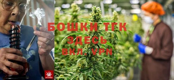 индика Кулебаки