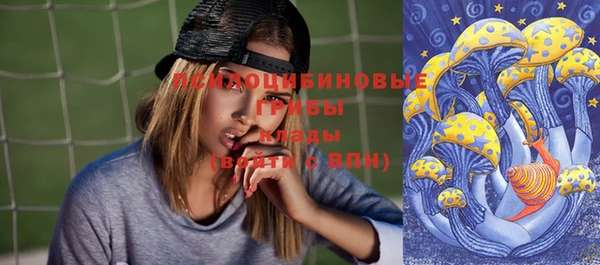 индика Кулебаки