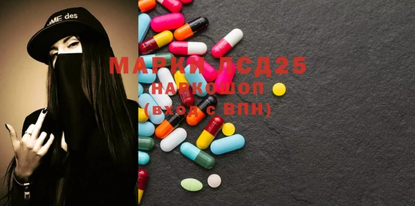 индика Кулебаки