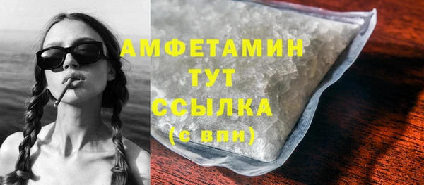 индика Кулебаки