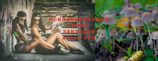 тгк Кукмор