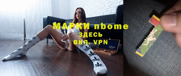 индика Кулебаки