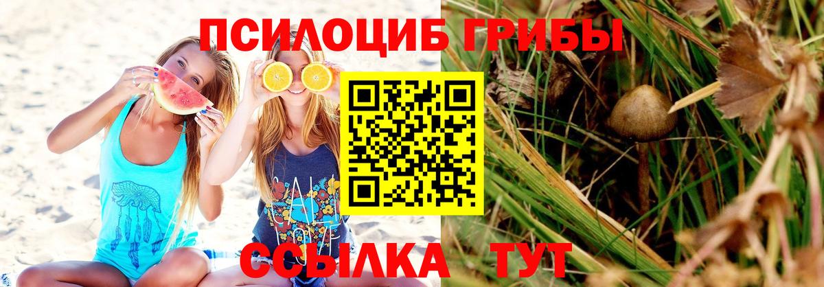 Псилоцибиновые грибы мицелий  Шебекино 