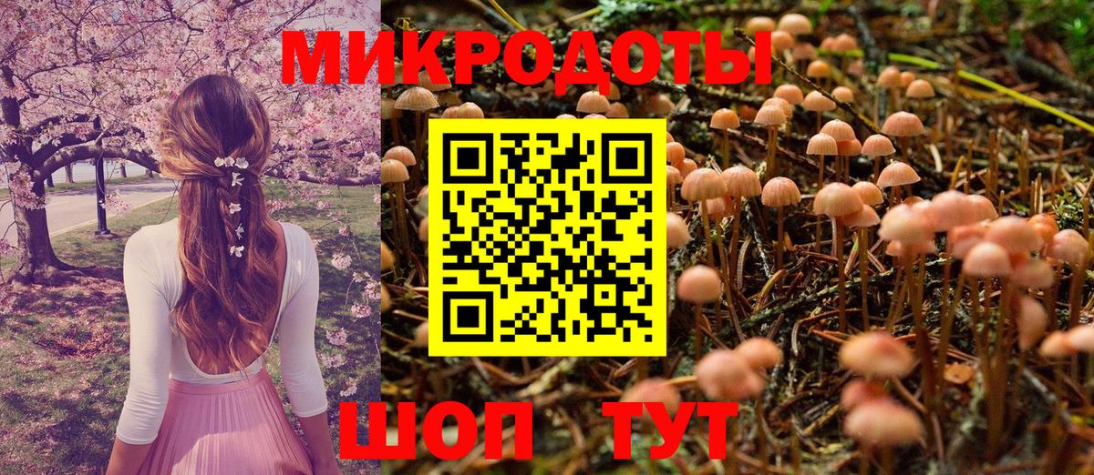Шебекино  Галлюциногенные грибы Cubensis  Вход с VPN  Псилоцибиновые грибы Psilocybine cubensis 
