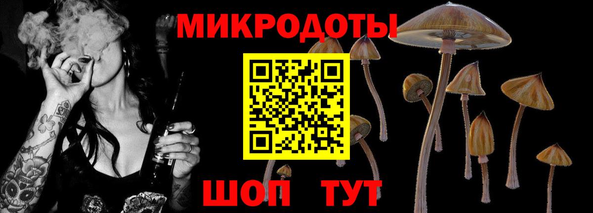 Псилоцибиновые грибы Cubensis Шебекино